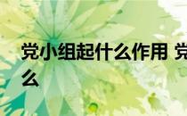 党小组起什么作用 党小组的性质和作用是什么