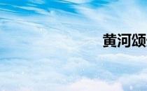 黄河颂光未然