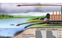 湖泊沉积物显示数十年的煤灰污染