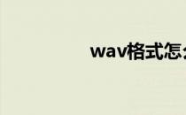 wav格式怎么转换 wav