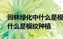 园林绿化中什么是模纹种植技术 园林绿化中什么是模纹种植