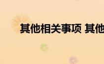 其他相关事项 其他事项还是其它事项