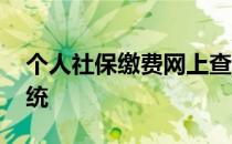 个人社保缴费网上查询 个人社保缴费查询系统