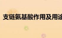支链氨基酸作用及用途用量 支链氨基酸作用