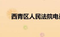 西青区人民法院电话 西青区人民法院