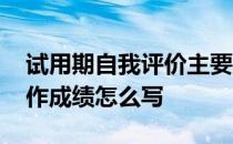 试用期自我评价主要工作业绩怎么写 主要工作成绩怎么写
