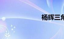 杨辉三角的公式