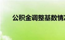 公积金调整基数情况说明 公积金调整