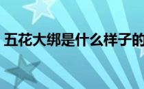 五花大绑是什么样子的 方法 五花大绑怎样绑