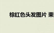 棕红色头发图片 栗色 棕红色头发图片