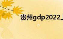 贵州gdp2022上半年 贵州gdp