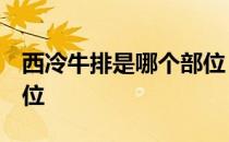 西冷牛排是哪个部位 图片 西冷牛排是哪个部位