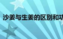 沙姜与生姜的区别和功效 沙姜与生姜的区别
