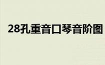 28孔重音口琴音阶图 28孔复音口琴音阶图