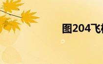 图204飞机 图204