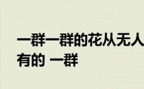 一群一群的花从无人知道的地方突然跑出来,有的 一群