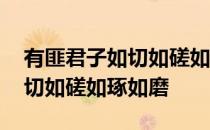 有匪君子如切如磋如琢如磨读音 有匪君子如切如磋如琢如磨