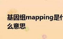 基因组mapping是什么意思 Mapping是什么意思