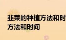 韭菜的种植方法和时间教程视频 韭菜的种植方法和时间