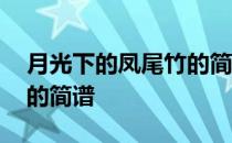 月光下的凤尾竹的简谱知识 月光下的凤尾竹的简谱