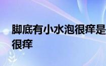 脚底有小水泡很痒是怎么回事 脚底有小水泡很痒