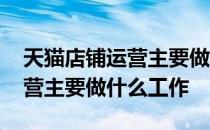 天猫店铺运营主要做什么工作的 天猫店铺运营主要做什么工作