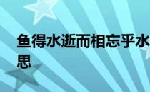 鱼得水逝而相忘乎水 鸟乘风飞而不知有风意思