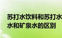 苏打水饮料和苏打水矿泉水有什么区别 苏打水和矿泉水的区别