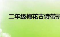 二年级梅花古诗带拼音 梅花古诗带拼音