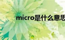 micro是什么意思 MIC是什么意思