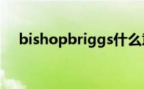 bishopbriggs什么意思 bishopbriggs