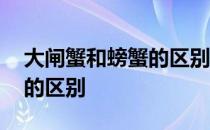 大闸蟹和螃蟹的区别讯苏中河 大闸蟹和螃蟹的区别