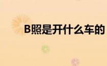 B照是开什么车的 b照可以开什么车