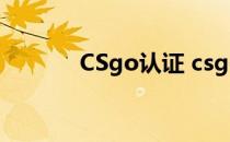 CSgo认证 csgo荣耀认证官网