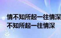 情不知所起一往情深爱不知所终倏忽而逝 情不知所起一往情深