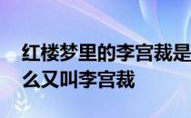 红楼梦里的李宫裁是谁 红楼梦中的李纨为什么又叫李宫裁