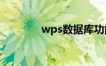 wps数据库功能 wps数据库