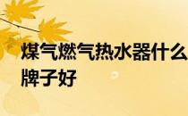 煤气燃气热水器什么牌子好 燃气热水器什么牌子好