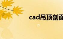 cad吊顶剖面图 cad吊顶