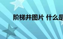 阶梯井图片 什么是楼梯梯井(要图片)