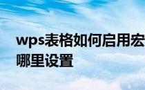 wps表格如何启用宏功能 wps表格启用宏在哪里设置