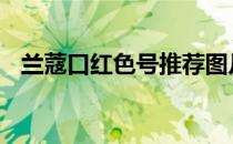 兰蔻口红色号推荐图片 兰蔻口红色号推荐