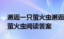 邂逅一只萤火虫邂逅一词如何理解 邂逅一只萤火虫阅读答案