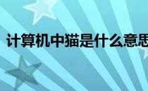 计算机中猫是什么意思 电脑的猫是什么意思