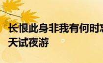 长恨此身非我有何时忘却营营是什么意思记成天试夜游