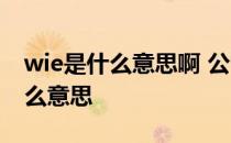 wie是什么意思啊 公司里面正常说的WI是什么意思