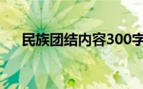 民族团结内容300字左右 民族团结内容