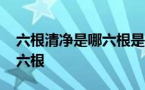 六根清净是哪六根是什么意思 六根清净是哪六根