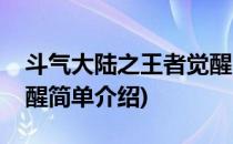 斗气大陆之王者觉醒(对于斗气大陆之王者觉醒简单介绍)