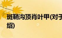 斑鞘沟顶肖叶甲(对于斑鞘沟顶肖叶甲简单介绍)